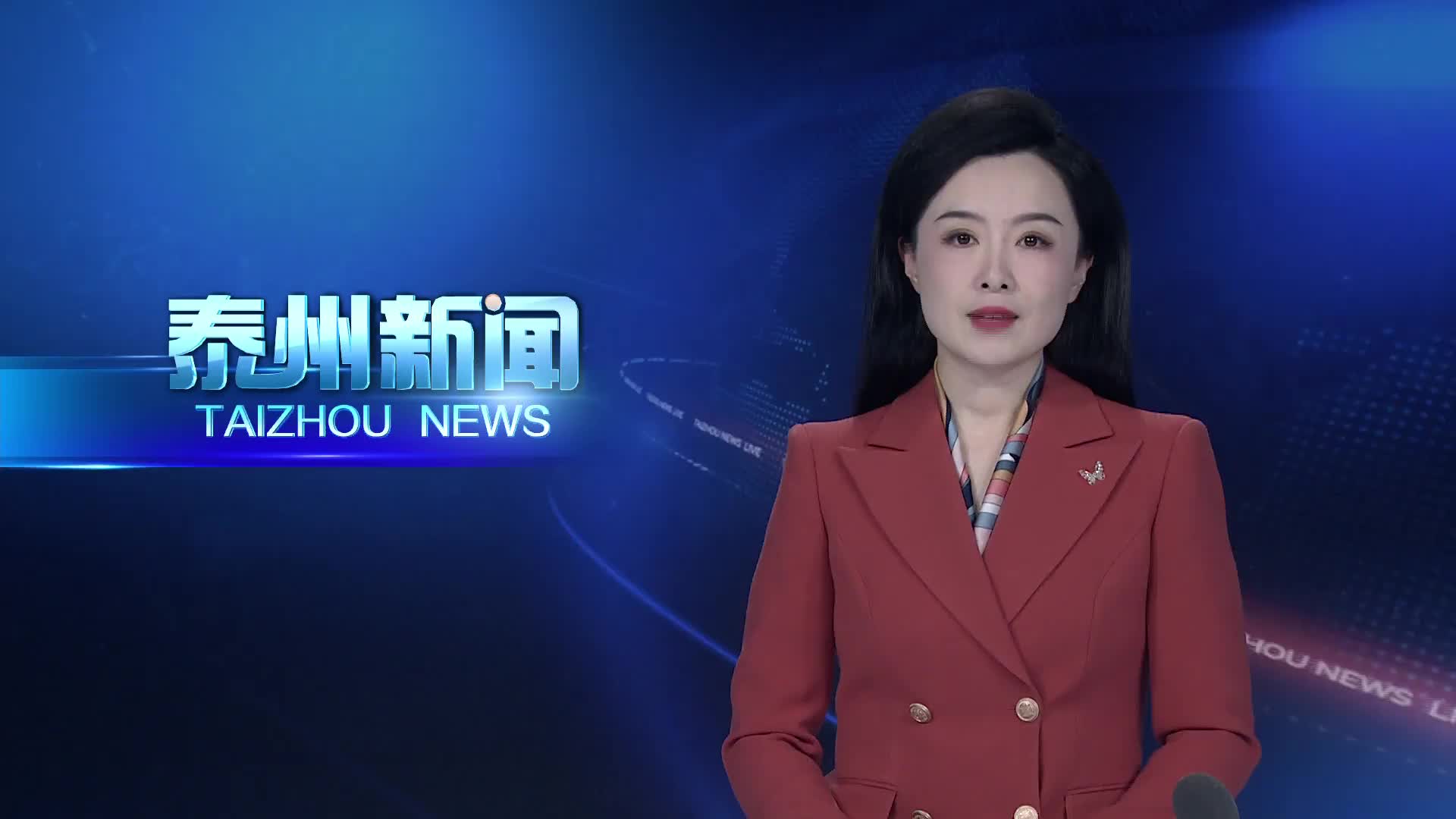 十四届全国人大四次会议江苏代表团举行小组会议  泰州市全国人大代表认真审议三部法律草案