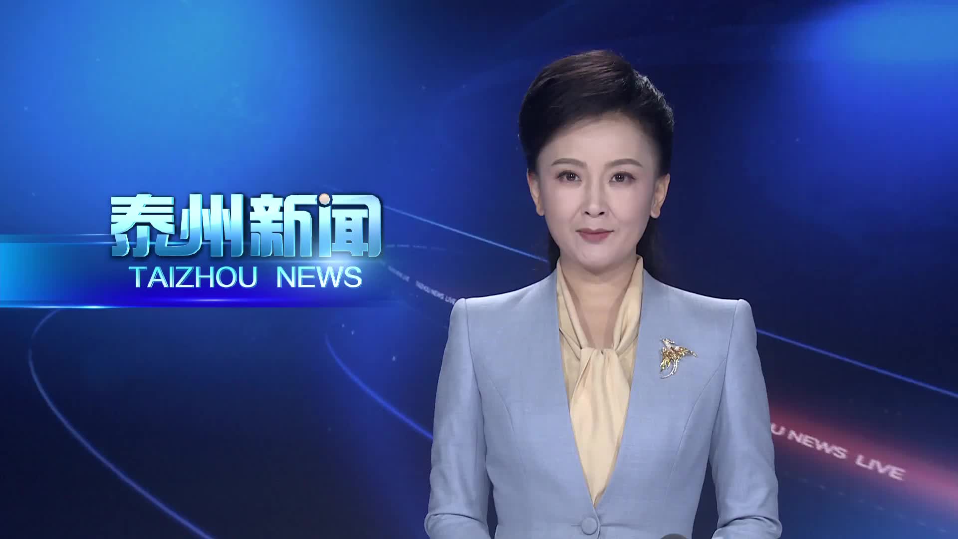 “泰有引力”人才高质量发展大会召开